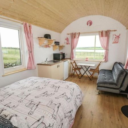 The Beautiful Lazy Llama Shepherd Hut Farm Stay Ballyshannon Exterior foto