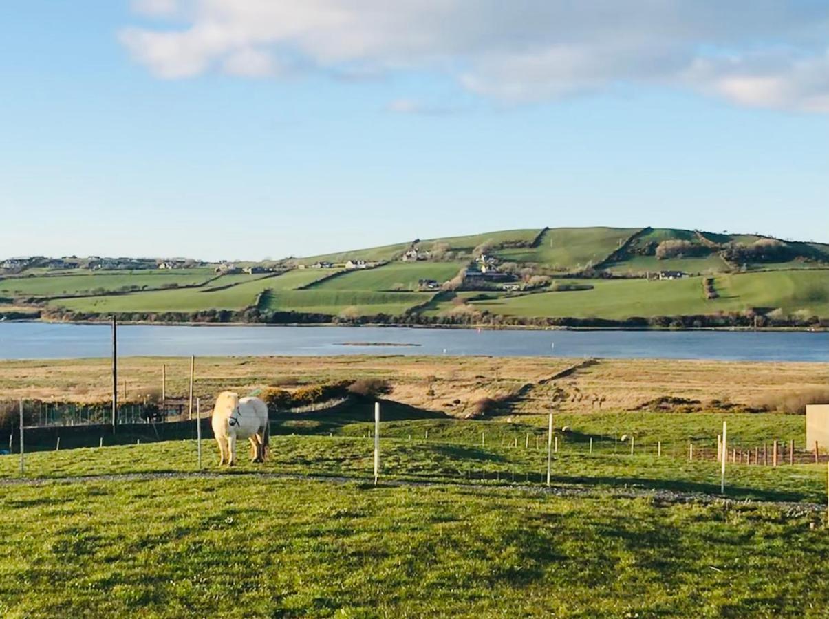 The Beautiful Lazy Llama Shepherd Hut Farm Stay Ballyshannon Exterior foto