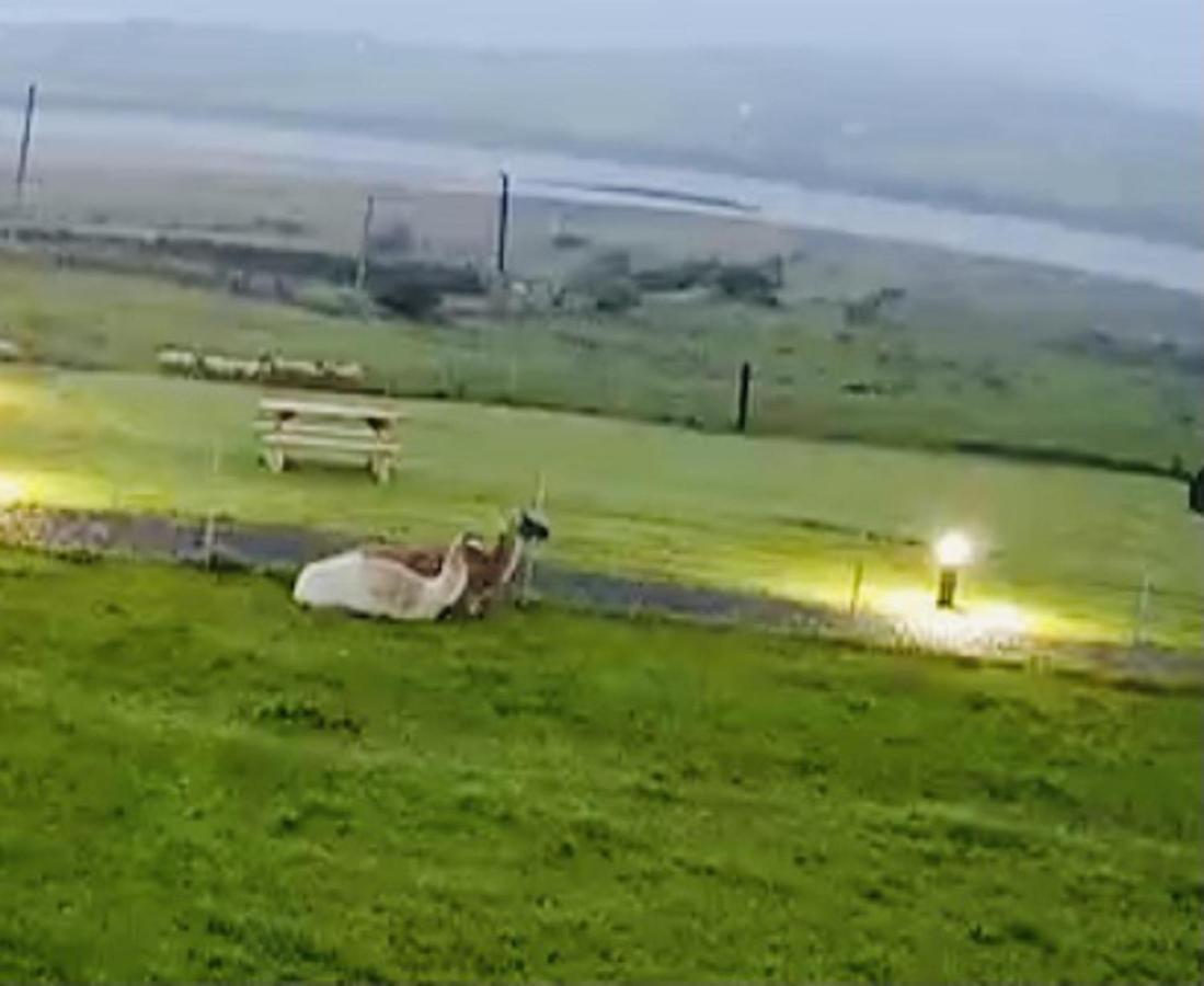 The Beautiful Lazy Llama Shepherd Hut Farm Stay Ballyshannon Exterior foto