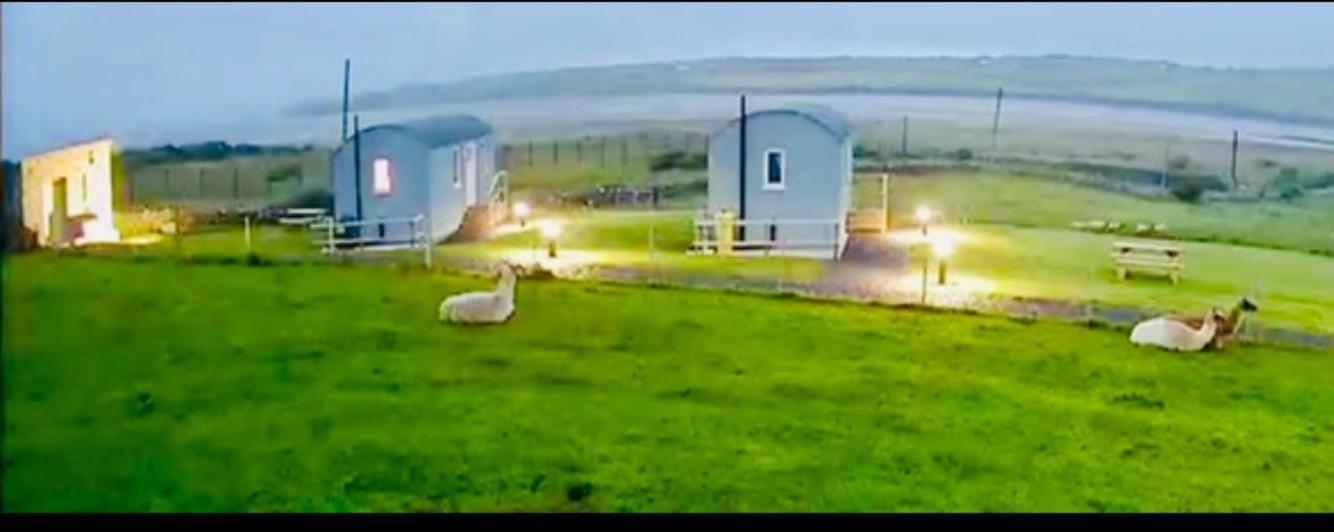 The Beautiful Lazy Llama Shepherd Hut Farm Stay Ballyshannon Exterior foto